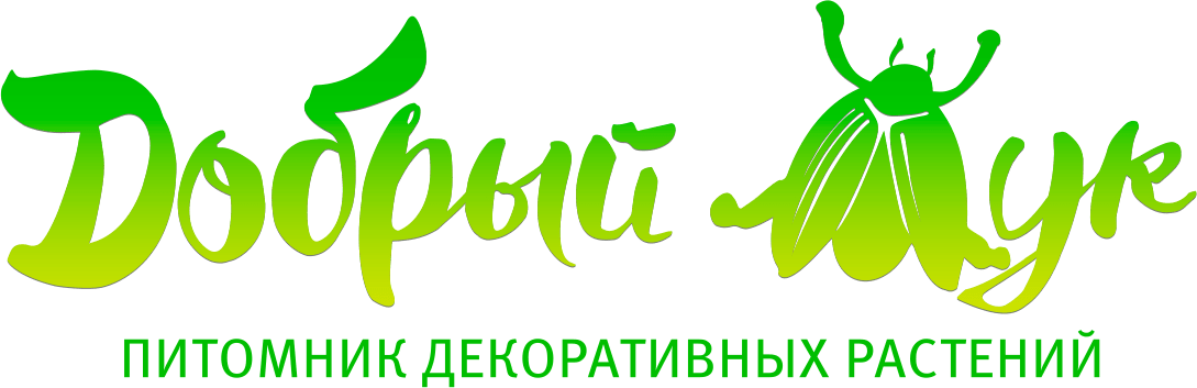 Добрый Жук