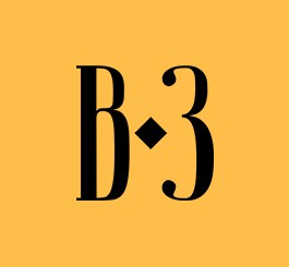 ВЛАДИМИР ЗИНГЕРОВ