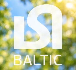 Логотип и стиль компании BALTIC
